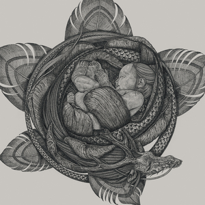 男人添女人b的视频
